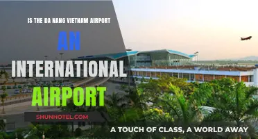 Da Nang Vietnam Airport: International Hub or Domestic Gateway?