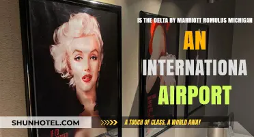 Delta by Marriott Romulus Michigan: International Airport Proximity Explained