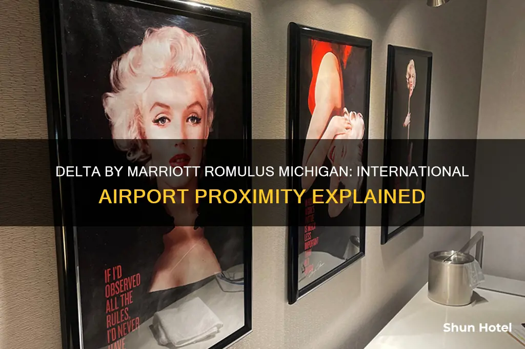 is the delta by marriott romulus michigan an international airport