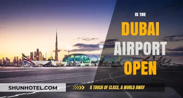 Is Dubai Airport Open? Latest Updates and Travel Guidelines