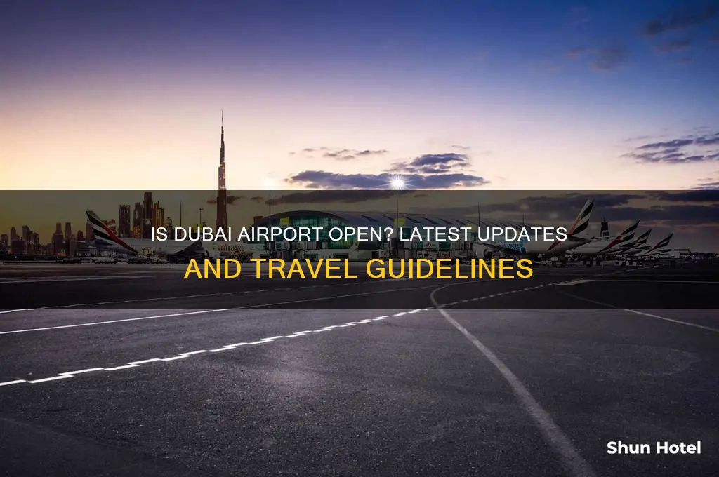 is the dubai airport open