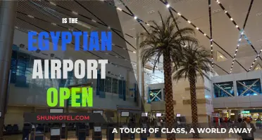 Is Cairo Airport Operational? Latest Updates on Egyptian Airport Status