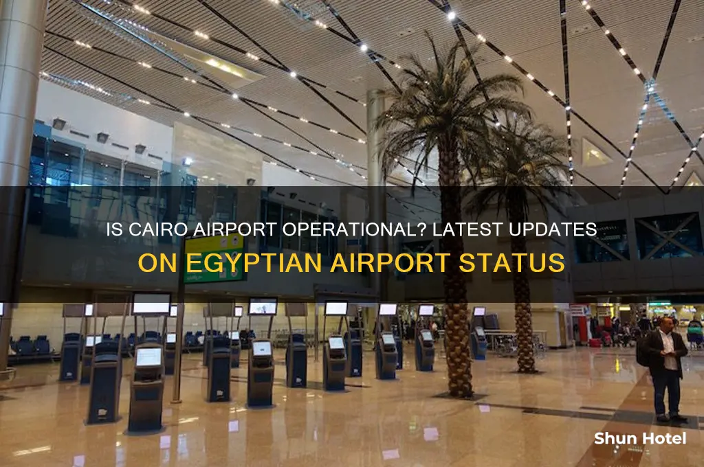 is the egyptian airport open