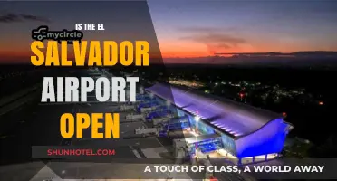 Is El Salvador Airport Open? Current Status and Travel Updates