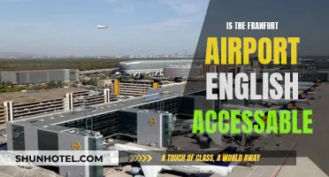 Frankfurt Airport: Navigating in English