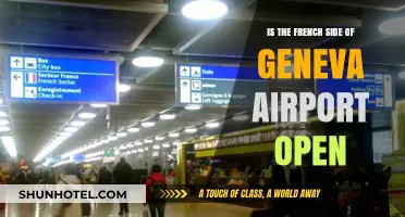 Is Geneva Airport's French Sector Operational? Current Status Explained