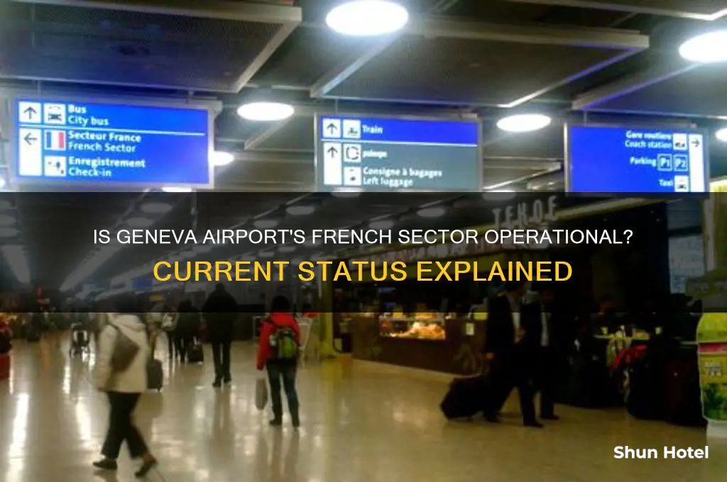 is the french side of geneva airport open