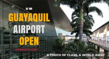 Is Guayaquil Airport Open? Current Status and Travel Updates