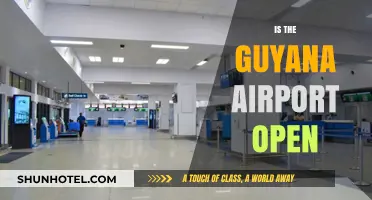 Is Guyana Airport Open? Current Status and Travel Updates