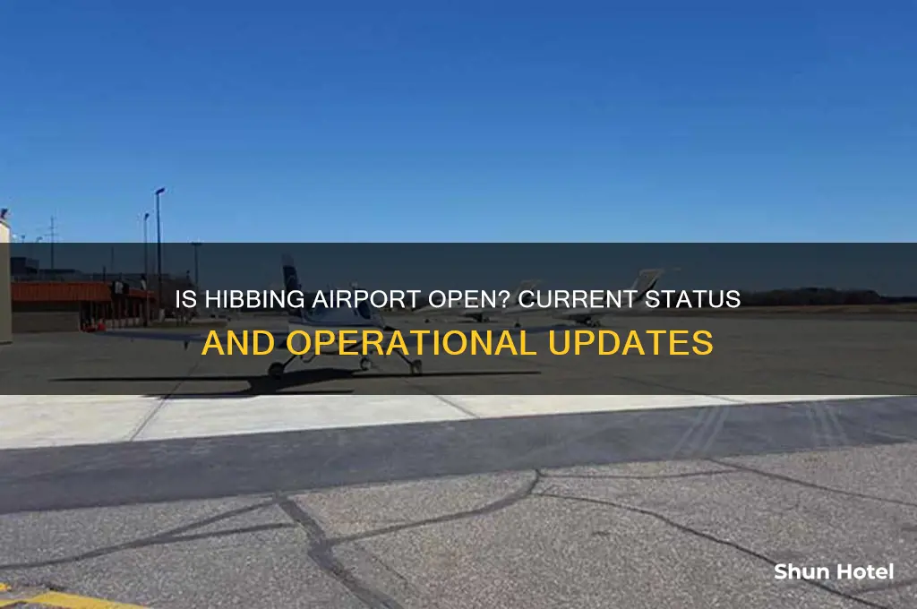 is the hibbing airport open