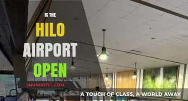 Is Hilo Airport Open? Current Status and Travel Updates