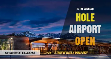 Is Jackson Hole Airport Open? Current Status and Travel Updates