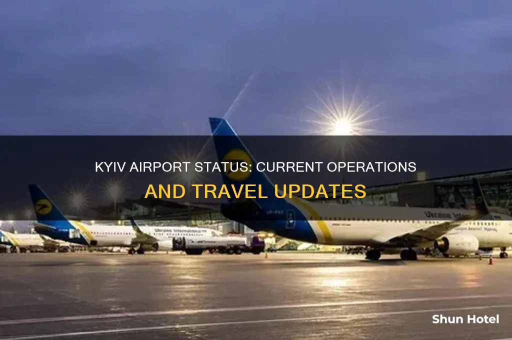 is the kyiv airport open