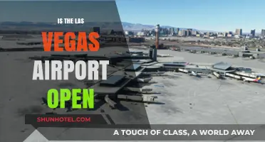 Is Las Vegas Airport Open? Current Status and Travel Updates