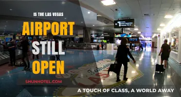 Is Las Vegas Airport Open? Current Status and Updates