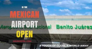 Is Mexico Airport Open? Latest Updates and Travel Guidelines