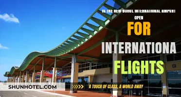 Bohol International Airport: Ready for Global Flights or Still Domestic?