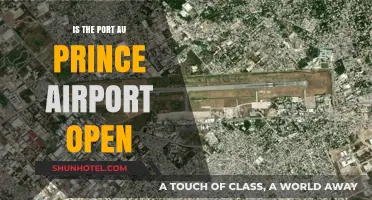 Is Port-au-Prince Airport Operational? Current Status and Updates