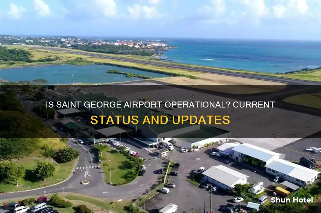 is the saint george airport open