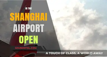 Is Shanghai Airport Open? Latest Updates and Travel Information