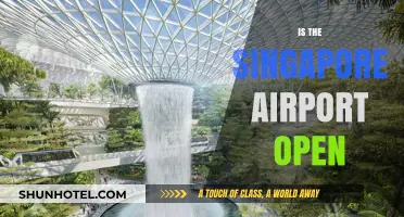 Is Singapore Airport Open? Current Status and Travel Updates