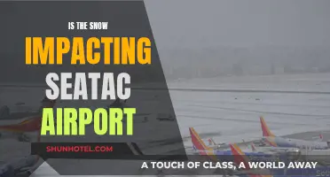 Snow Impacts: Flight Delays at Seattle's Sea-Tac Airport