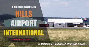 Is Black Hills Airport in South Dakota International? Facts Revealed