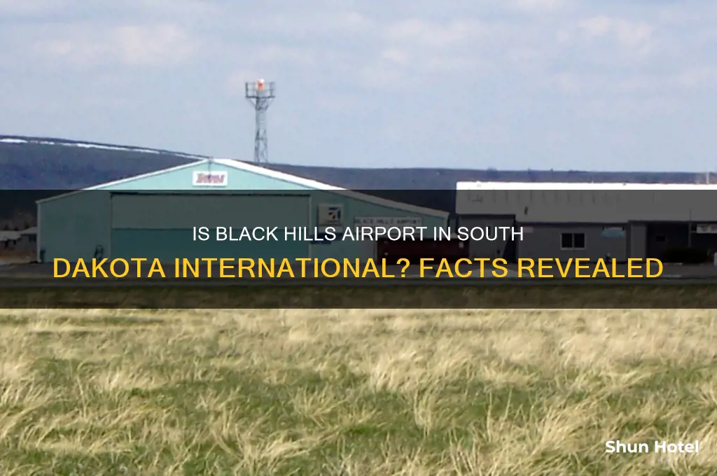 is the south dakota black hills airport international