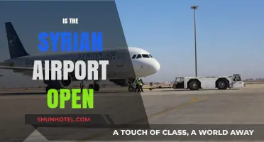 Is Syria's Airport Open? Current Status and Travel Updates