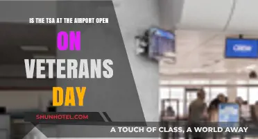 Is TSA Open on Veterans Day? Airport Security Hours Explained