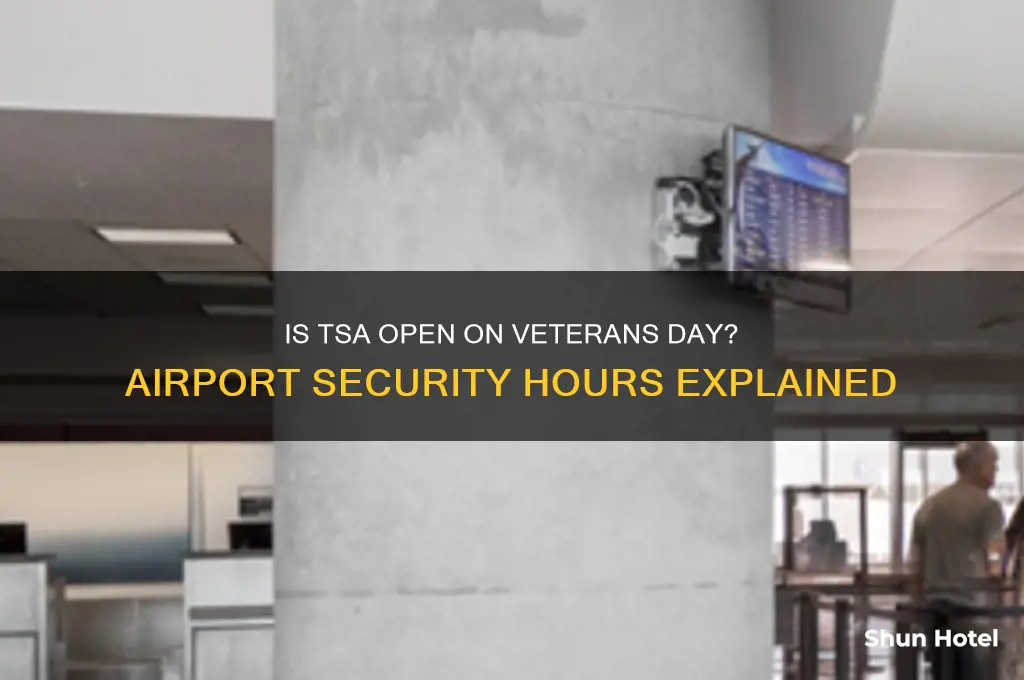 is the tsa at the airport open on veterans day