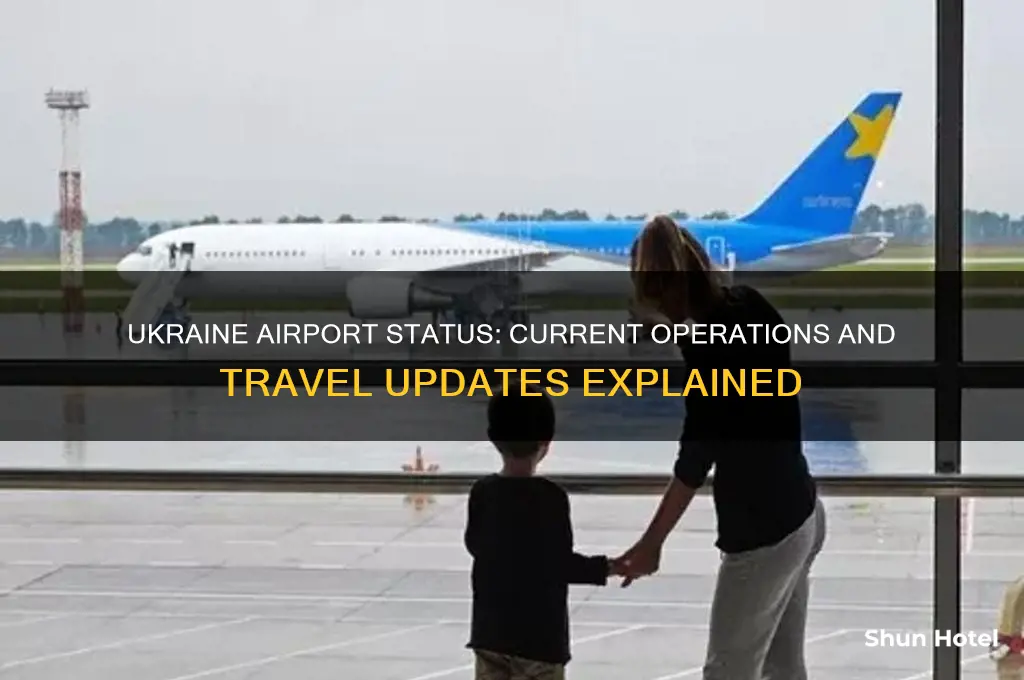 is the ukraine airport open