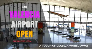 Is Valencia Airport Open? Current Status and Travel Updates