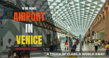 Venice Airport: In the City or Not?