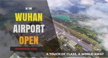 Wuhan Airport Operational Status: Current Updates and Travel Information