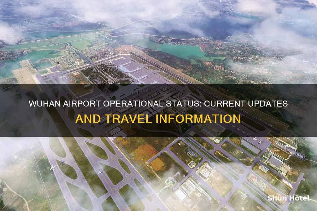 is the wuhan airport open