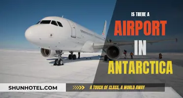 Antarctica's Airport Existence: Myth or Reality?
