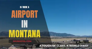Montana's Airport: Does It Exist?
