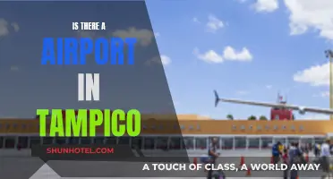 Tampico's Airport: Does It Exist?