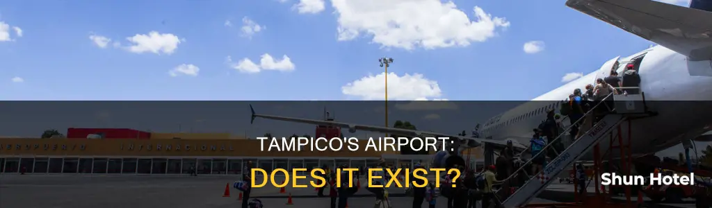 is there a airport in tampico