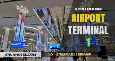 Exploring Dubai Airport Terminal 1: A Guide to Bars and Dining Options