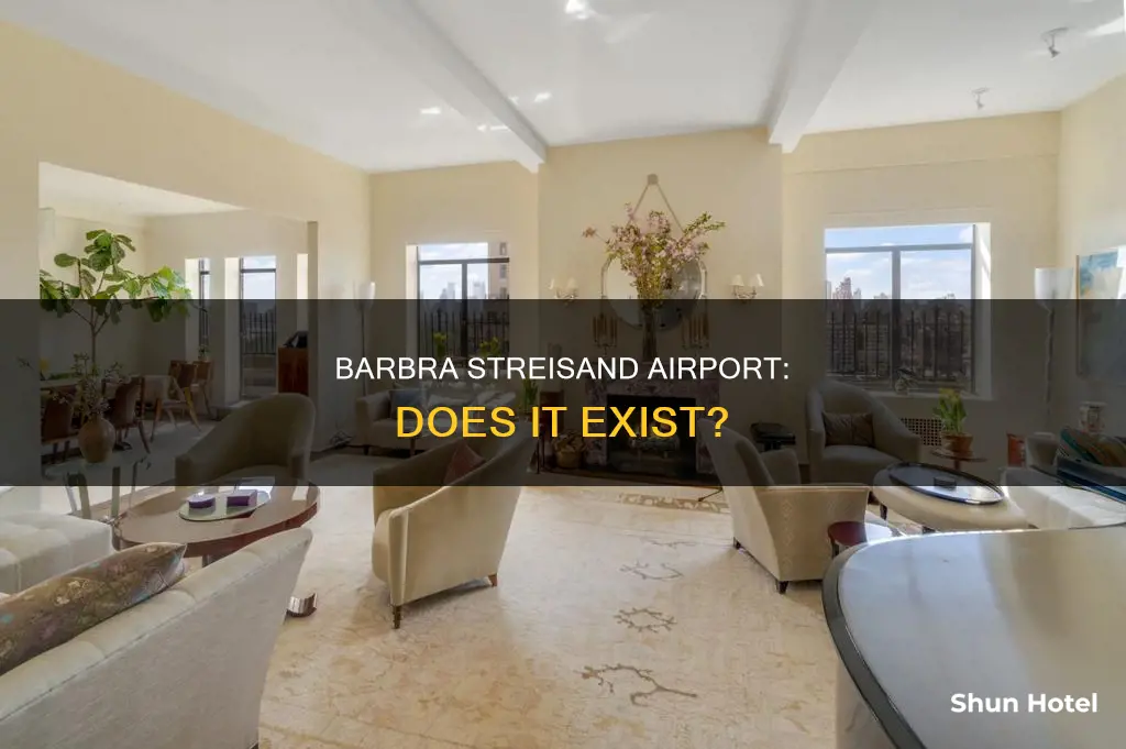 is there a barbra streisand airport