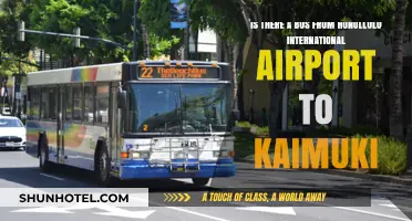 Honolulu Airport to Kaimuki: Bus Route Options and Travel Tips