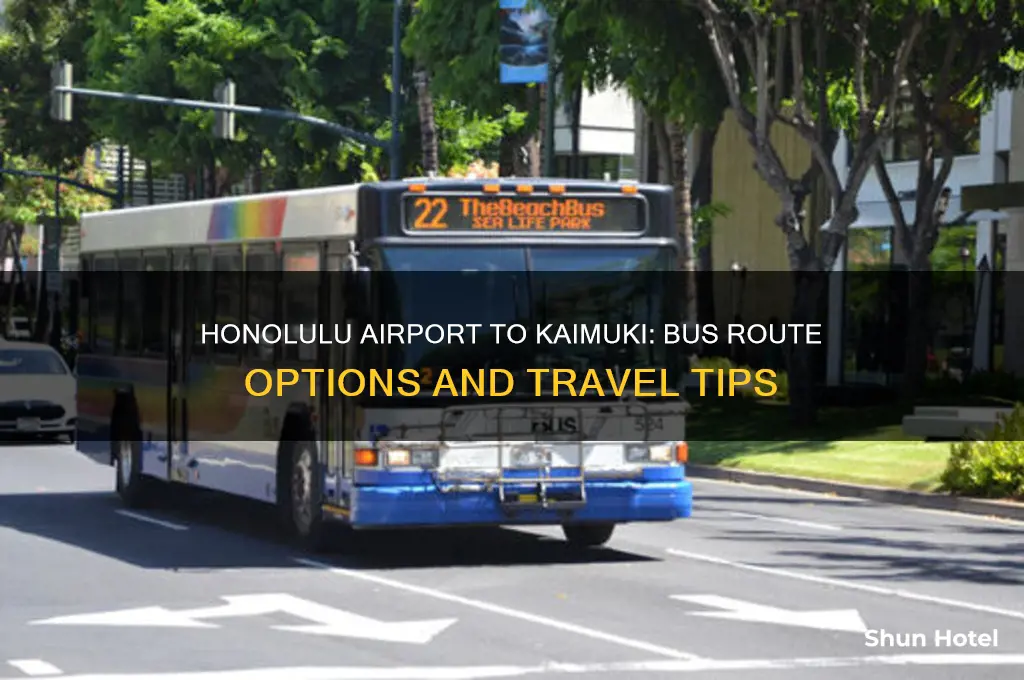 is there a bus from honollulu international airport to kaimuki