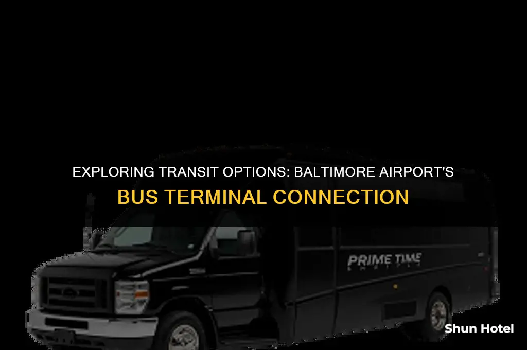 is there a bus terminal at the baltimore airport