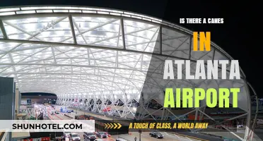 Canes at Atlanta Airport: Where to Find Them