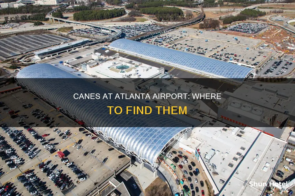 is there a canes in atlanta airport