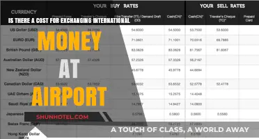 Airport Currency Exchange Fees: Hidden Costs and Smart Alternatives