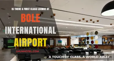 Exploring Bole International Airport: Does It Offer a First Class Lounge?