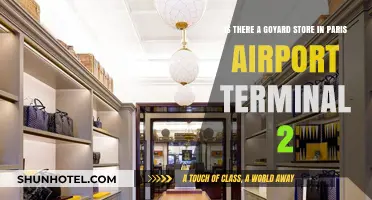 Exploring Luxury at Paris Airport: Is There a Goyard Store in Terminal 2?